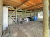12 Coffey Court, Binalong Bay, Tas 7216-Image