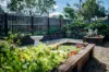 12 Comlaroi Street, Urunga, NSW 2455-Image
