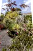 12 Condy Street, Drysdale, Vic 3222-Image