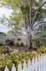 12 Condy Street, Drysdale, Vic 3222-Image