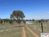 12 Cons Lane, Parkes, NSW 2870-Image