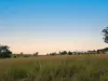 12 Cooper Road, Haigslea, Qld 4306-Image