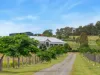 12 Cooper Road, Haigslea, Qld 4306-Image