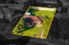 12 Corbin Avenue, South Penrith, NSW 2750-Image