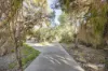 12 Corymbia Way, Harrisdale, WA 6112-Image