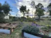 12 Curlew Street, Meringandan West, Qld 4352-Image