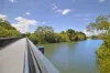 12 Currant Street, Elanora, Qld 4221-Image