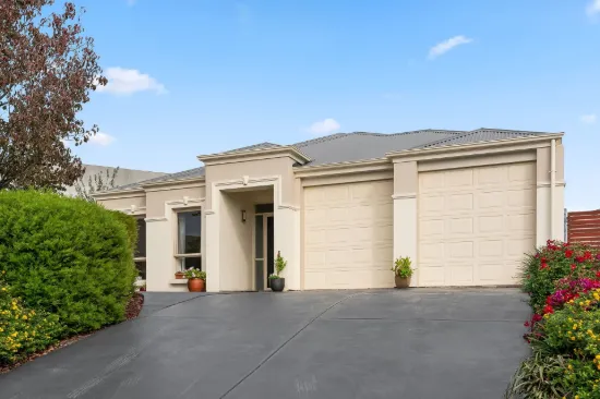 12 De Ieso Court, Newton, SA 5074