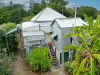 12 Deane Street, Charters Towers City, Qld 4820-Image