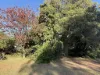 12 Denison Street, Finley, NSW 2713-Image