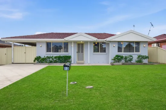 12 Doolan Street, Dean Park, NSW 2761