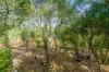 12 Drummond Street, Toodyay, WA 6566-Image
