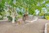 12 Dunn Road, Avenell Heights QLD 4670-Image