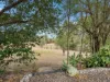 12 Egret Court, Laidley Heights, Qld 4341-Image