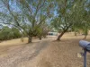 12 Egret Court, Laidley Heights, Qld 4341-Image