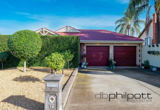 12 Elaine Street, Evanston, SA 5116