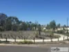 12 Elderflower Street, Treeby, WA 6164-Image