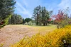 12 Elizabeth Way, Hill Top, NSW 2575-Image
