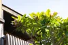 12 Eurobin Avenue, Manly, NSW 2095-Image