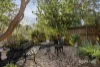 12 Fairbank Avenue, Heathmont, Vic 3135-Image