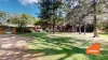 12 Fairlands Road, Medowie, NSW 2318-Image