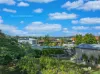 12 Faraday Street, Camp Hill, Qld 4152-Image