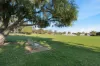 12 Fenellia Crescent, Craigie, WA 6025-Image