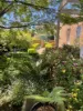 12 Firbank Close, Isabella Plains, ACT 2905-Image