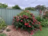 12 Firbank Close, Isabella Plains, ACT 2905-Image