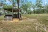 12 Firetail Avenue, Regency Downs, Qld 4341-Image