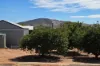 12 Fraser Street, York, WA 6302-Image