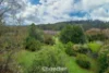 12 Georges Road, The Patch, Vic 3792-Image