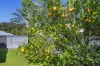 12 Gilchrist Drive, Currumbin Waters, Qld 4223-Image
