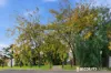 12 Gingham Place, Berwick, Vic 3806-Image