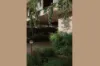 12 Greenup Street, Redcliffe, Qld 4020-Image