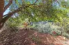 12 Guerin Road, Elizabeth Vale, SA 5112-Image
