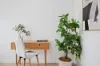 12 Gully Street, Flinders View, Qld 4305-Image