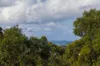 12 Gymea Way, Nelson Bay, NSW 2315-Image