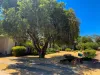 12 Heming Street, Waikerie, SA 5330-Image