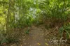 12 Hillcrest Avenue, Caboolture, Qld 4510-Image