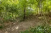12 Hillcrest Avenue, Caboolture, Qld 4510-Image