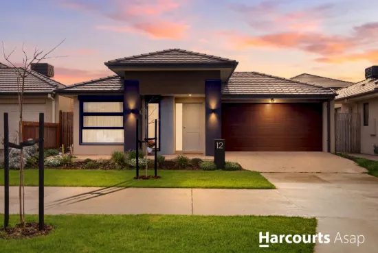 12 Homely Avenue, Clyde North, Vic 3978