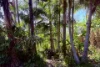 12 Hudson Avenue, East Lismore, NSW 2480-Image