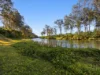 12 Islandview Street, Barellan Point, Qld 4306-Image