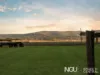 12 Jacaranda Drive, Laidley, Qld 4341-Image