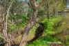 12 Jaeger Court, High Wycombe, WA 6057-Image