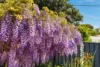 12 Jetty Road, Dodges Ferry, Tas 7173-Image