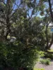 12 John Street, Currie, Tas 7256-Image
