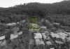 12 Julian Close, Mooroobool, Qld 4870-Image