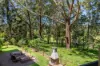12 Karri Court, Mapleton, Qld 4560-Image